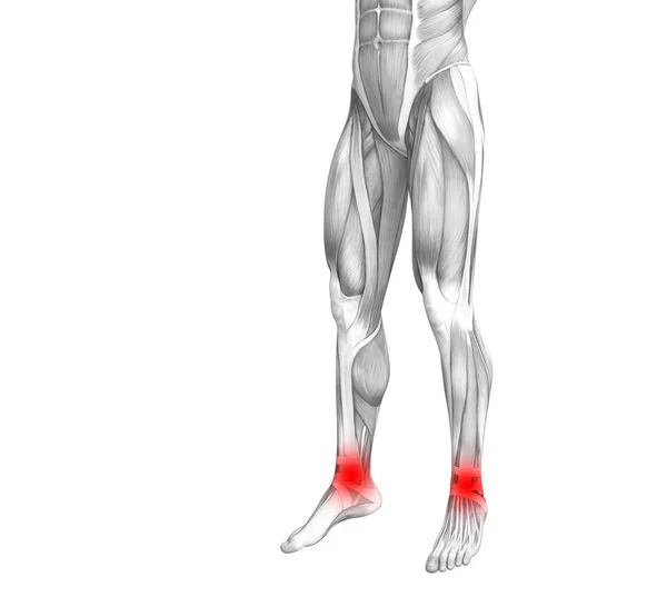 Fogalmi boka emberi anatómia-red hot spot gyulladás vagy izületi ízületi fájdalom a láb egészségügyi kezelés vagy sport izom fogalmak. 3D-s illusztráció az ember arthritis vagy csont csontritkulás betegség — Stock Fotó