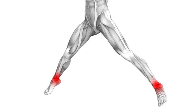 Konzeptionelle Anatomie des menschlichen Fußgelenks mit einer Entzündung des roten Flecks oder Gelenkschmerzen für die Beintherapie oder Sportmuskelkonzepte. 3D Illustration Mann Arthritis oder Knochen-Osteoporose-Erkrankung — Stockfoto