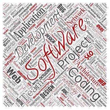 Kavramsal yazılım geliştirme projesi teknoloji kare kırmızı kelime bulutu kodlama arka plan izole. Uygulama web tasarım, seo fikir, uygulama, test yükseltme kavramı kolaj