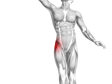 Kırmızı sıcak nokta inflamasyon eklem eklem ağrısı için bacak sağlık tedavi veya spor kas kavramı ile kavramsal hip insan anatomisi. 3D çizim adam artrit veya kemik boğaz osteoporoz hastalığı