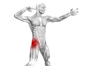 Kırmızı sıcak nokta inflamasyon eklem eklem ağrısı için bacak sağlık tedavi veya spor kas kavramı ile kavramsal hip insan anatomisi. 3D çizim adam artrit veya kemik boğaz osteoporoz hastalığı