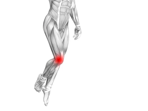 Conceptuele knie anatomie met rode hotspot ontsteking of articulaire gewrichtspijn voor been gezondheidszorg therapie of sport spier concepten. 3D Illustratie man artritis of bot osteoporose ziekte — Stockfoto