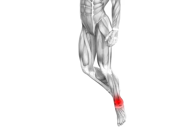 概念脚踝人体解剖学与红色热点炎症或关节关节疼痛的腿保健治疗或运动肌肉的概念。3d. 图示人关节炎或骨质疏松症 — 图库照片