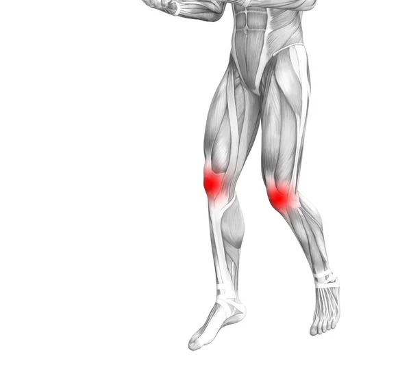 Konceptuální koleno lidské anatomie s červenými aktivní bod zánět nebo kloubní bolesti kloubů nohou zdravotní péče terapie nebo sportovní svalové koncepty. 3D obrázek muž artritidy nebo kostní osteoporózy onemocnění — Stock fotografie