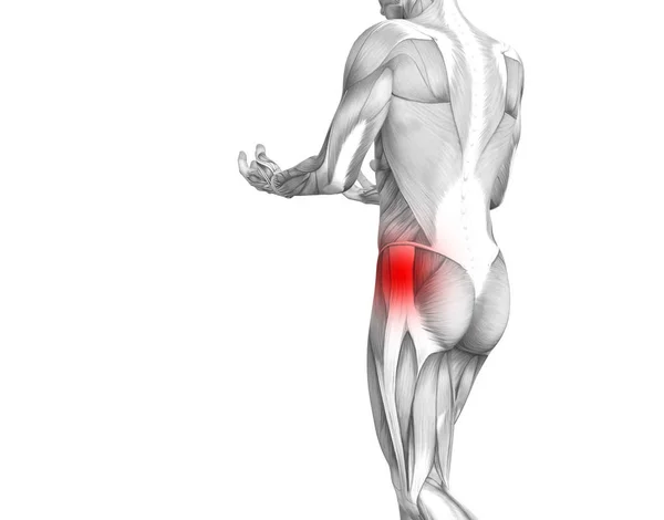 Anatomía humana conceptual de la cadera con inflamación del punto caliente rojo dolor articular articular para la terapia de cuidado de la salud de las piernas o conceptos musculares deportivos. Ilustración 3D hombre artritis o dolor óseo osteoporosis enfermedad — Foto de Stock