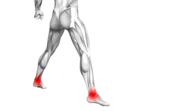 Anatomía humana conceptual del tobillo con inflamación del punto caliente rojo o dolor articular en las articulaciones para la terapia de cuidado de la salud de las piernas o conceptos musculares deportivos. Ilustración 3D hombre artritis u osteoporosis ósea enfermedad — Foto de Stock