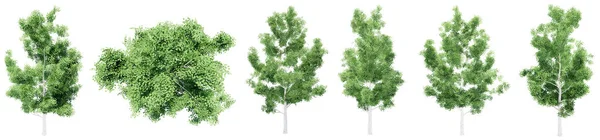Set Collection Green Aspen Trees Isolated White Background Concept Conceptual — Stock Photo, Image