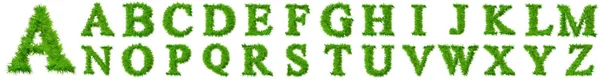 Conceptual Green Modern Font Type Furry Green Grass Concept Type — Zdjęcie stockowe