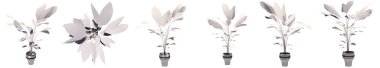 Beyaz arka planda izole edilmiş güzel iç bitki çizimleri seti veya koleksiyonu. Doğa ve ekoloji, güzellik ve bahçıvanlık için kavramsal veya kavramsal 3D illüstrasyon