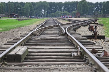 Auschwitz Birkenau'da tren rayları, eski bir Nazi imha kampı
