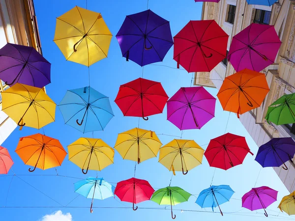 Paraguas Coloridos Una Calle Timisoara —  Fotos de Stock