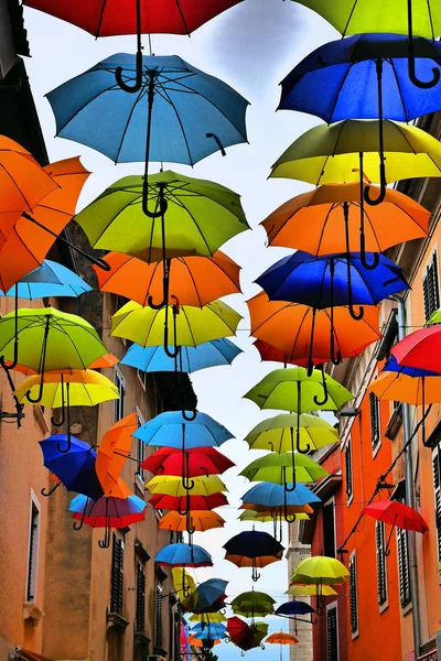 Paraguas Colores Colgando Una Calle Novigrad —  Fotos de Stock