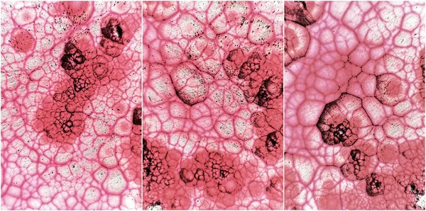 Abstraktní Inverzní Makrosnímek Přírodních Kamenů Minerálů Sada Malachitů — Stock fotografie