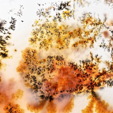 Mücevher ve Dekoratif Taş. Kristalli Moss Agate Dendrite Macro. Çok Büyük Ölçekli Macro. Agata muschiata. Chalcedony.