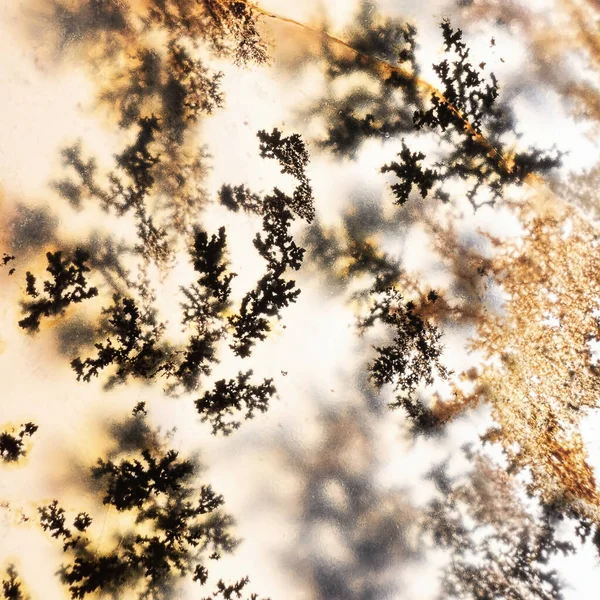 보석과 장식용 Moss Agate Crystals Dendrite Macro 스케일의 매크로입니다 Agata — 스톡 사진