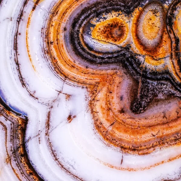 Agate Motley Large Scale Macro — Stock Photo, Image