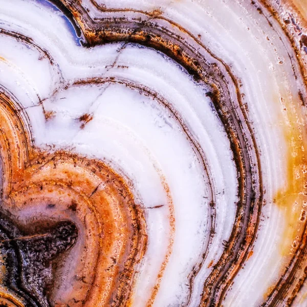 Renkli Agate Geniş Ölçekli Makro — Stok fotoğraf