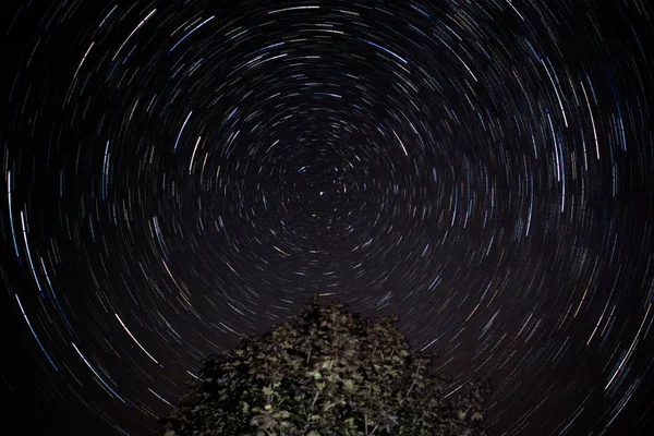 Trilhas Estrelas Céu Noturno Sobre Uma Árvore Bordo Vermelho Blue — Fotografia de Stock