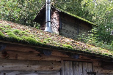 Yosun ve fidan ile şeker baraka çatı