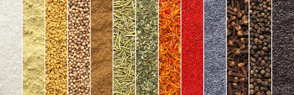 Collage of spices and herbs for design packaging with food. seasonings background palette in color.