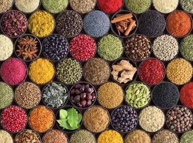 Taze baharatlar ve yiyecek için bitkiler. Renkli çeşniler geri kalmış gibi