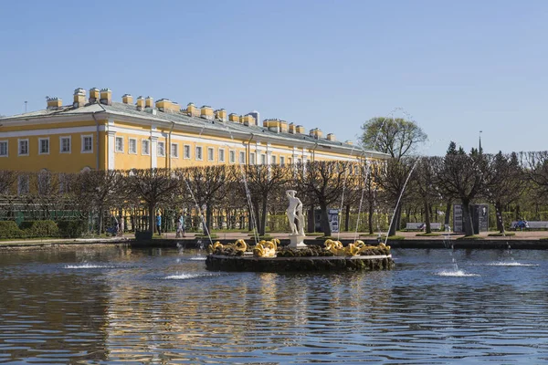 Russie Peterhof Jardin Supérieur Fontaines Étangs Carrés — Photo