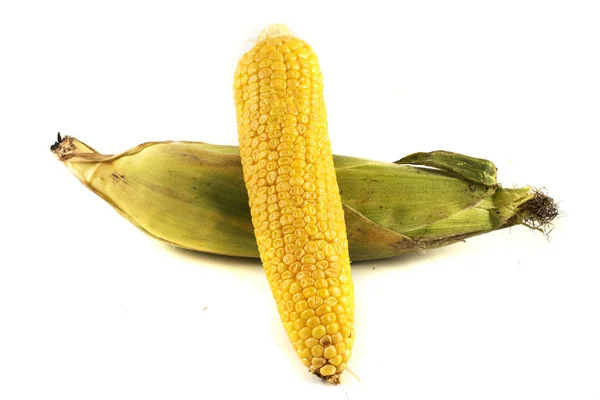 Corn Corn Isolated White Background — Stock Photo, Image