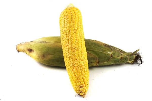 Corn Corn Isolated White Background — Stock Photo, Image