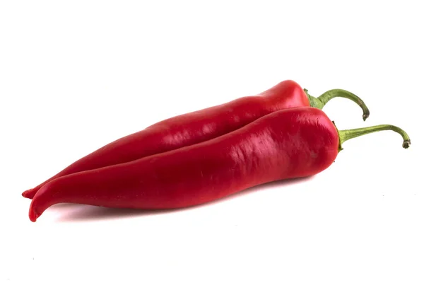 Hot Chilli Papričkou Bílém Pozadí — Stock fotografie