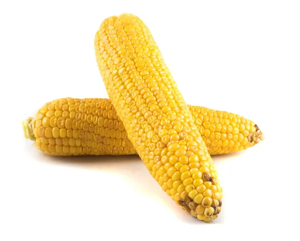 在白色背景下分离的玉米玉米 — 图库照片