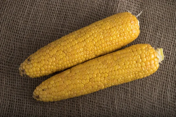 Corn Cobs Burlap Background — Stock Photo, Image