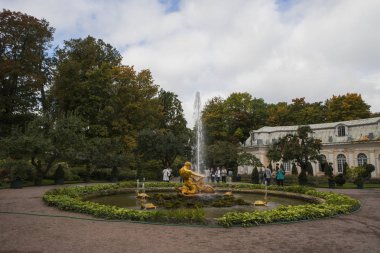 Rusya. Peterhof. Çeşme 
