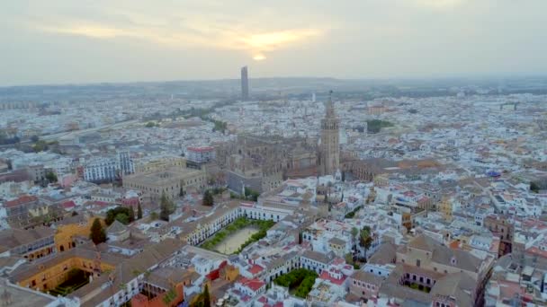 Ciudad Sevilla Catedral Desde Aire Tarde Noche — Vídeo de stock