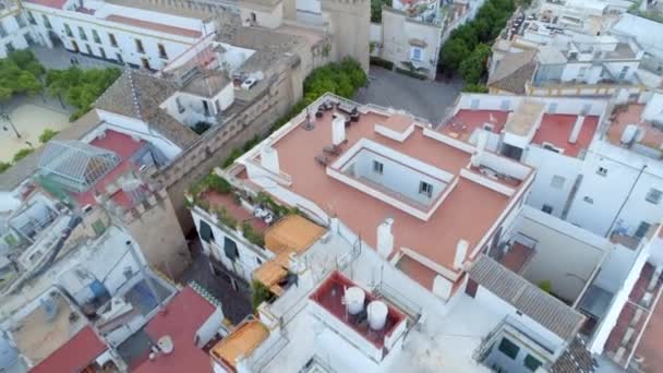 Vista Aérea Los Tejados Jardines Calles Sevilla España — Vídeo de stock