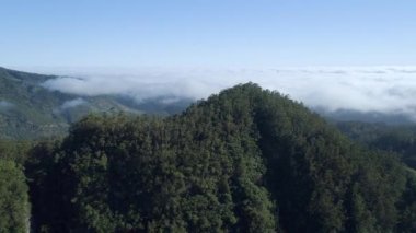 Havadan gördün ormanda sisli dağlar