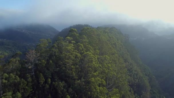 从空中看丛林里的雾蒙蒙的山脉 — 图库视频影像