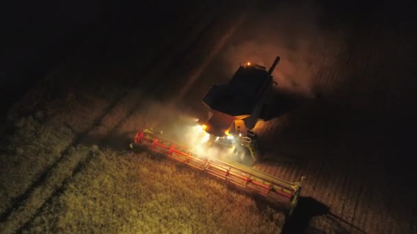 Combine Harvester Durante Colheita Trabalhando Noite Campo Colza — Vídeo de Stock