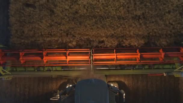 Combinar Cosechadora Durante Cosecha Trabajando Noche Campo Colza — Vídeos de Stock