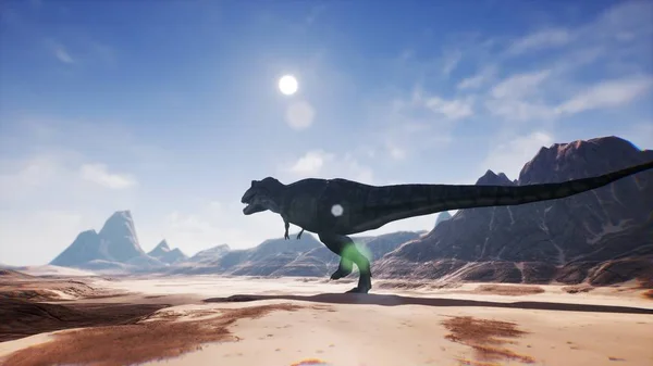 T Rex Tyrannosaur Dinosaur animation in desert. realistic render. 3D Rendering.