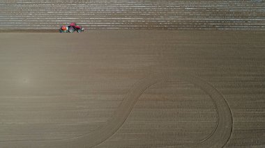 Çiftçiler, Kuzey Çin 'de patates yetiştirmek için ekicileri kullanır.