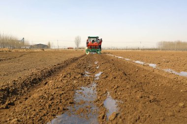 LUANNAN COUNTY, Hebei Eyaleti, Çin - 16 Mart 2021: Çiftçi bir ekiciyle ekili