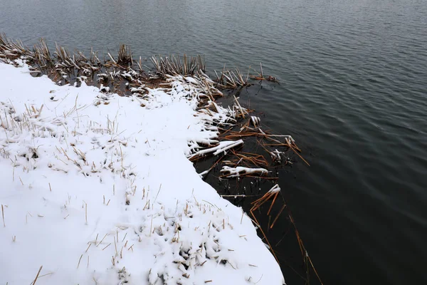 Weeds near the water are covered with snow, North China
