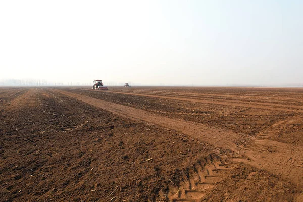 Agricultores Impulsan Plantadores Para Cultivar Guisantes Lejano — Foto de Stock