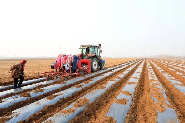 Condado Luannan Provincia Hebei China Marzo 2021 Los Agricultores Impulsan — Foto de Stock