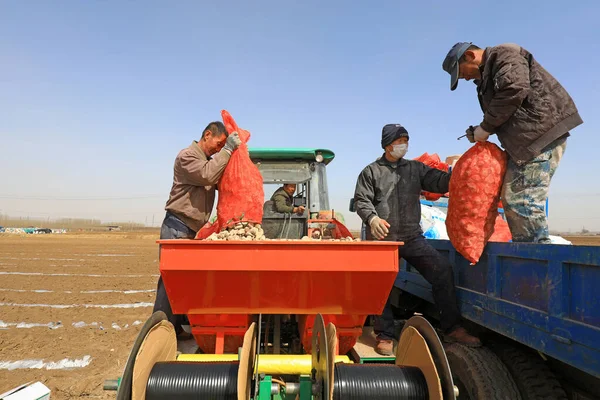 Condado Luannan Provincia Hebei China Marzo 2021 Los Agricultores Están — Foto de Stock
