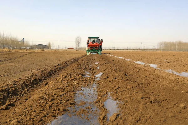 Condado Luannan Provincia Hebei China Marzo 2021 Agricultor Plantó Con — Foto de Stock