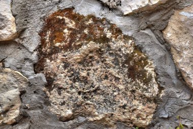 1 * Ein-Hod. İsrail köyde tek sanatçı. Güzel mimari. Bahar 2018.2 ** Ein-Hod. Yaratıcı aydınların liman. 1953 yılında kurulmuştur. Hayfa Bölgesi, mount Carmel, İsrail. Kutsal topraklar.  