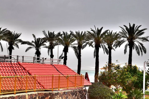 1 * Dead sea'nın Batı kıyısı. İsrail. Bahar geldi. 2018.2 ** Dead sea yeryüzünde takoz gölüdür. İsrail ve Ürdün arasında yer alır. Tuz, tedavi edici çamur ve temiz şifa hava benzersiz bir bileşimi ile güzel bir uluslararası tatil.