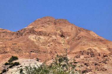 1*** Ein Gedi. İsrail. kutsal topraklar. Bu İncille şehir, ve şimdi tel Goren ve Nahal David geçit tepeüzerinde bir doğa rezervi ve milli Park. Judean çölü ve ölü denizde dağların ortasında muhteşem bir yer. Sonbahar.