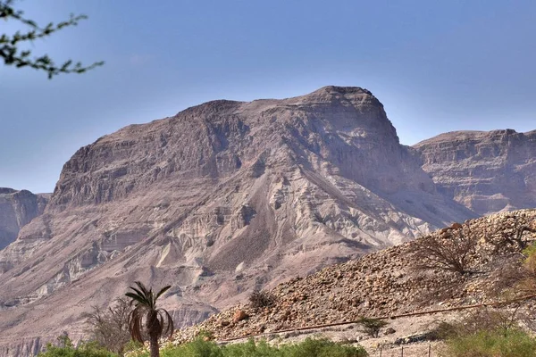 Ein Gedi Izrael Szentföld Egy Bibliai Város Most Egy Természetvédelmi — Stock Fotó